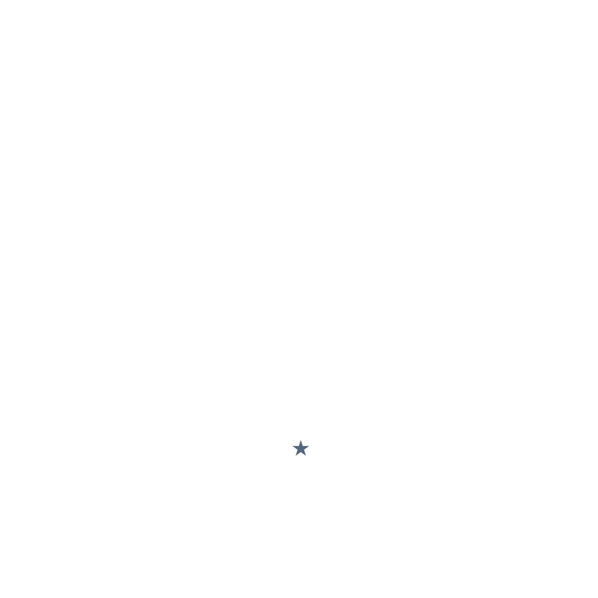 logo bpc white